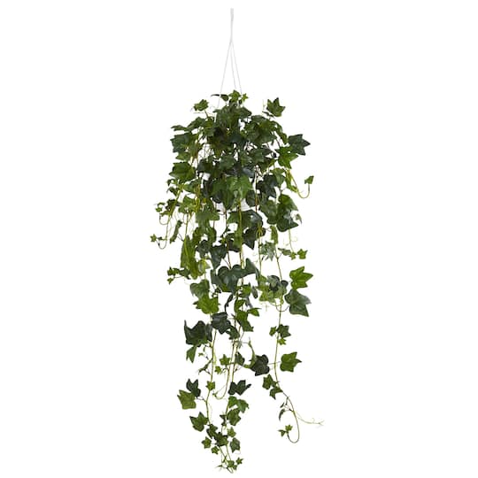 3ft. Green English Ivy Hanging Basket